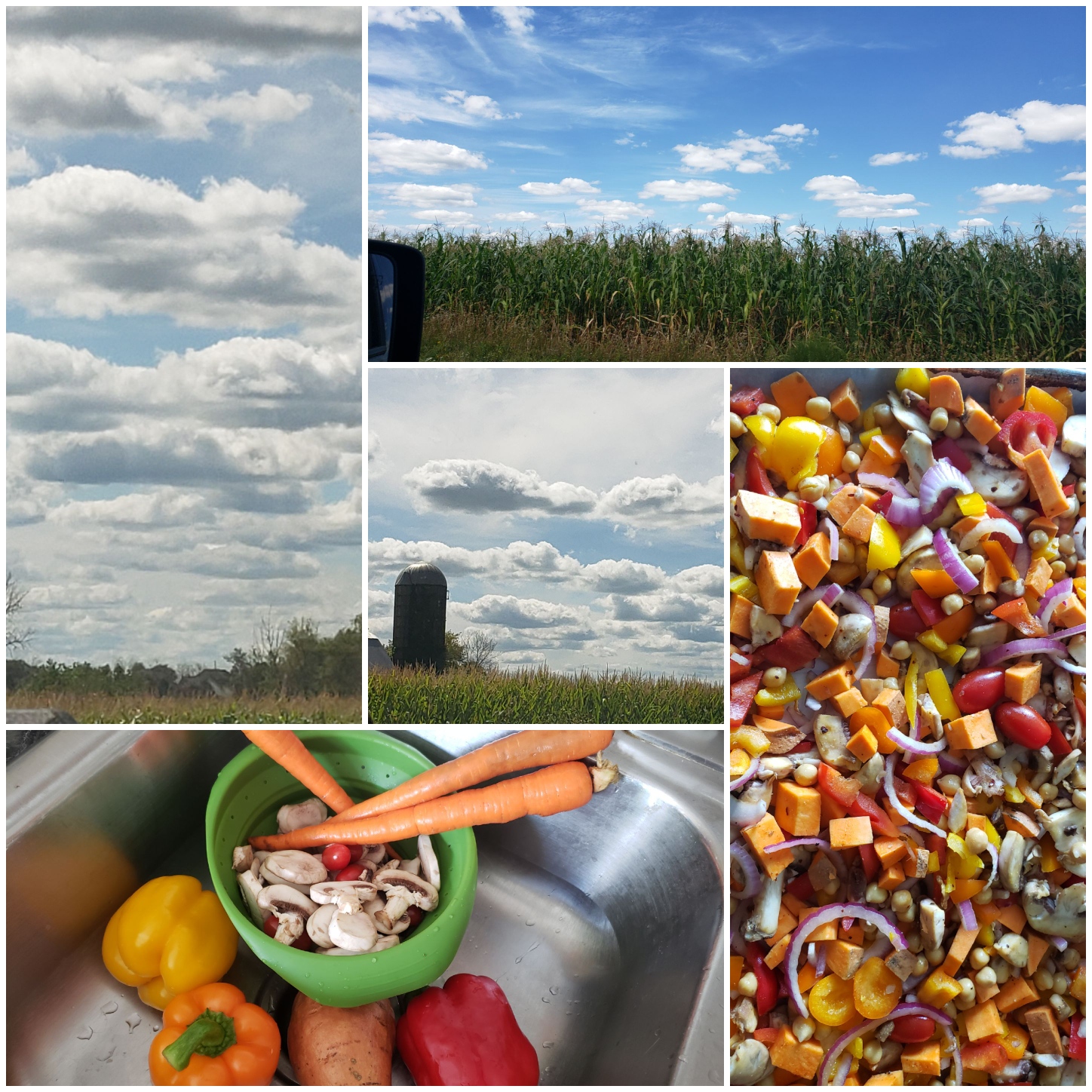 Resized_20200830_195141